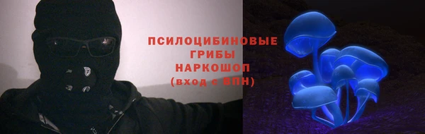 мяу мяу мука Карталы