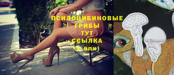 эйфоретик Карпинск