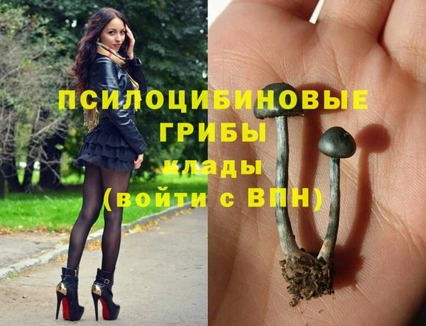 эйфоретик Карпинск