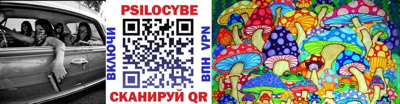 Псилоцибиновые грибы прущие грибы  Купить  Данков 