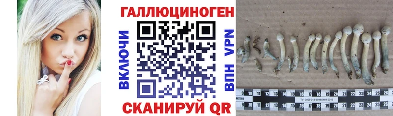 Галлюциногенные грибы GOLDEN TEACHER Данков